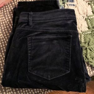 J Jill Veleteen Jeans